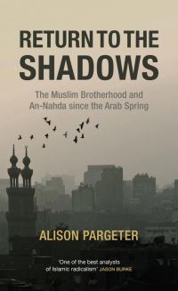 Book Cover for Return to the Shadows by Alison Pargeter