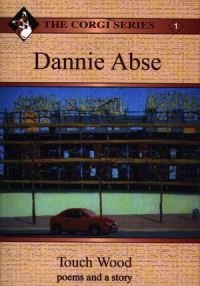 Book Cover for Touch Wood by Dannie Abse