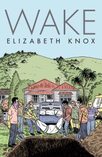 Book Cover for Wake by Elizabeth Knox