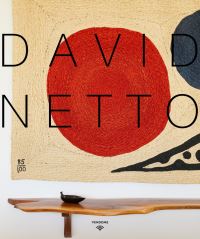 Book Cover for David Netto by David Netto