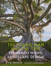 Book Cover for The Young Man and The Tree by Tim Johnson