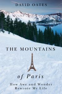 Book Cover for The Mountains of Paris by David Oates