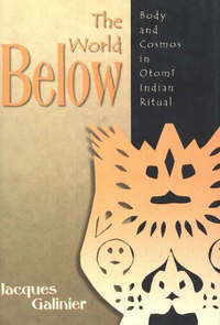 Book Cover for The World Below by Jacques Galinier, Phyllis Aronoff, Howard Scott