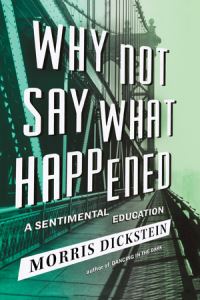 Book Cover for Why Not Say What Happened by Morris Dickstein