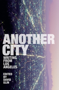 Book Cover for Another City by David L Ulin