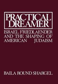 Book Cover for Practical Dreamer by Baila Round Shargel