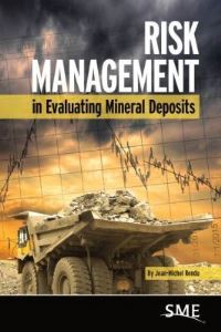 Book Cover for Risk Management in Evaluating Mineral Deposits by JeanMichel Rendu