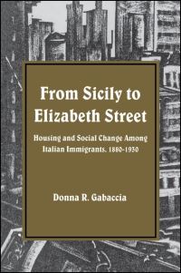 Book Cover for From Sicily to Elizabeth Street by Donna R Gabaccia