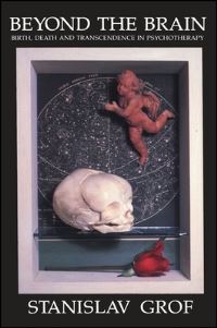 Book Cover for Beyond the Brain by Stanislav Grof