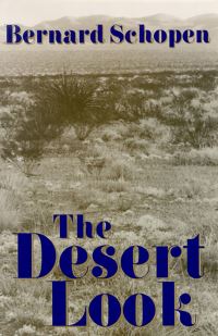 Book Cover for The Desert Look by Bernard A Schopen
