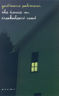 Book Cover for The House on Breakaheart Road by Gailmarie Pahmeier