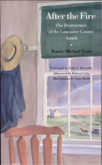 Book Cover for After the Fire by RandyMichael Testa