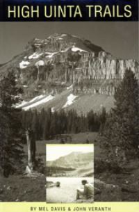 Book Cover for Material Meanings by Elizabeth S Chilton
