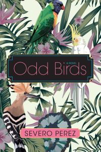 Book Cover for Odd Birds by Severo Perez