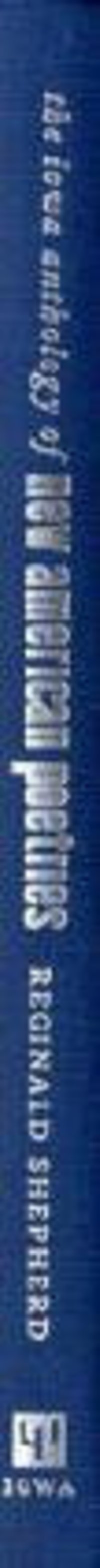 Book Cover for The Iowa Anthology of New American Poetries by Reginald Shepherd