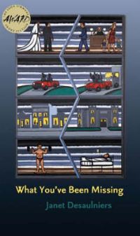 Book Cover for What You've Been Missing by Janet Desaulniers
