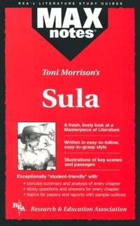 Book Cover for Toni Morrison's Sula by Anita Price Davis