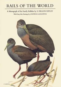 Book Cover for Rails of the World by S Dillon Ripley