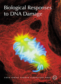 Book Cover for Biological Responses to DNA Damage by 