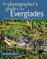 Book Cover for The Photographer's Guide to the Everglades by M Timothy OKeefe