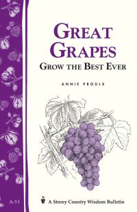 Book Cover for Great Grapes by Annie Proulx