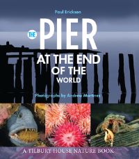 Book Cover for The Pier at the End of the World by Paul Erickson