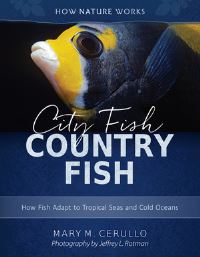 Book Cover for City Fish, Country Fish by Mary M Cerullo
