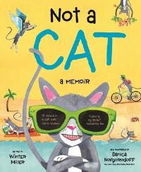 Book Cover for Not a Cat by Winter Miller
