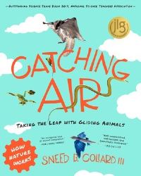 Book Cover for Catching Air by Sneed B Collard