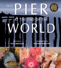 Book Cover for The Pier at the End of the World by Paul Erickson