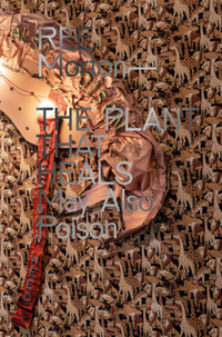 Book Cover for Ree Morton by Nayland Blake, Roksana Filipowska, Abi Shapiro
