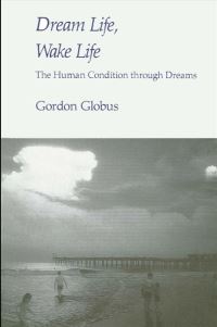 Book Cover for Dream Life, Wake Life by Gordon G Globus