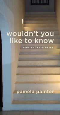 Book Cover for Wouldn't You Like to Know by Pamela Painter