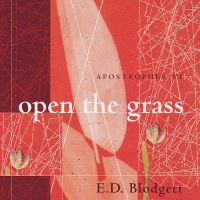 Book Cover for Apostrophes VI by ED Blodgett