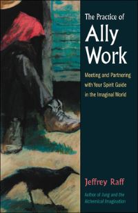 Book Cover for The Practice of Ally Work by Jeffrey Raff