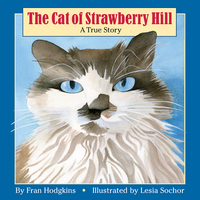 Book Cover for The Cat of Strawberry Hill by Fran Hodgkins