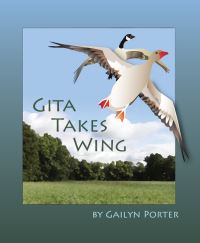 Book Cover for Gita Takes Wing by Gailyn Porter