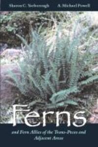 Book Cover for Ferns and Fern Allies of the Trans-Pecos and Adjacent Areas by Sharon C Yarborough, A Michael Powell