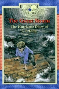 Book Cover for The Great Storm by Lisa Waller Rogers