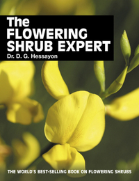 Book Cover for The Flowering Shrub Expert by D G Hessayon
