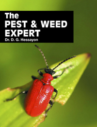 Book Cover for The Pest & Weed Expert by D G Hessayon