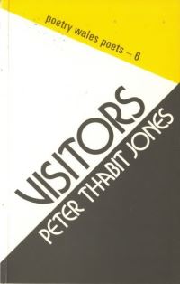 Book Cover for Visitors by Peter Thabit Jones