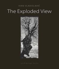 Book Cover for The Exploded View by Ivan VladislaviÔc