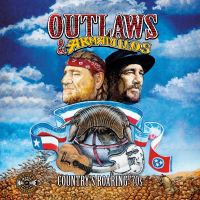 Book Cover for Outlaws & Armadillos by Tenn Country Music Hall of Fame  Museum Nashville