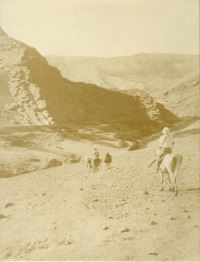 Book Cover for The Holmes Expeditions to Luristan by Erich Friedrich Schmidt, Maurits Nanning van Loon, Hans H Curvers