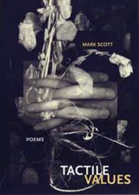 Book Cover for Tactile Values by Mark Scott, Western Michigan University