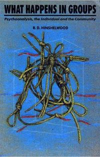 Book Cover for What Happens in Groups by RD Hinshelwood