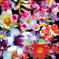 Book Cover for 500 Flowers by Roger Camp