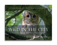Book Cover for Wild in the City by Andrew Wilson