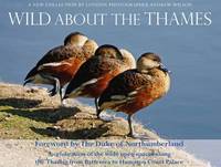 Book Cover for Wild About the Thames by Andrew Wilson
